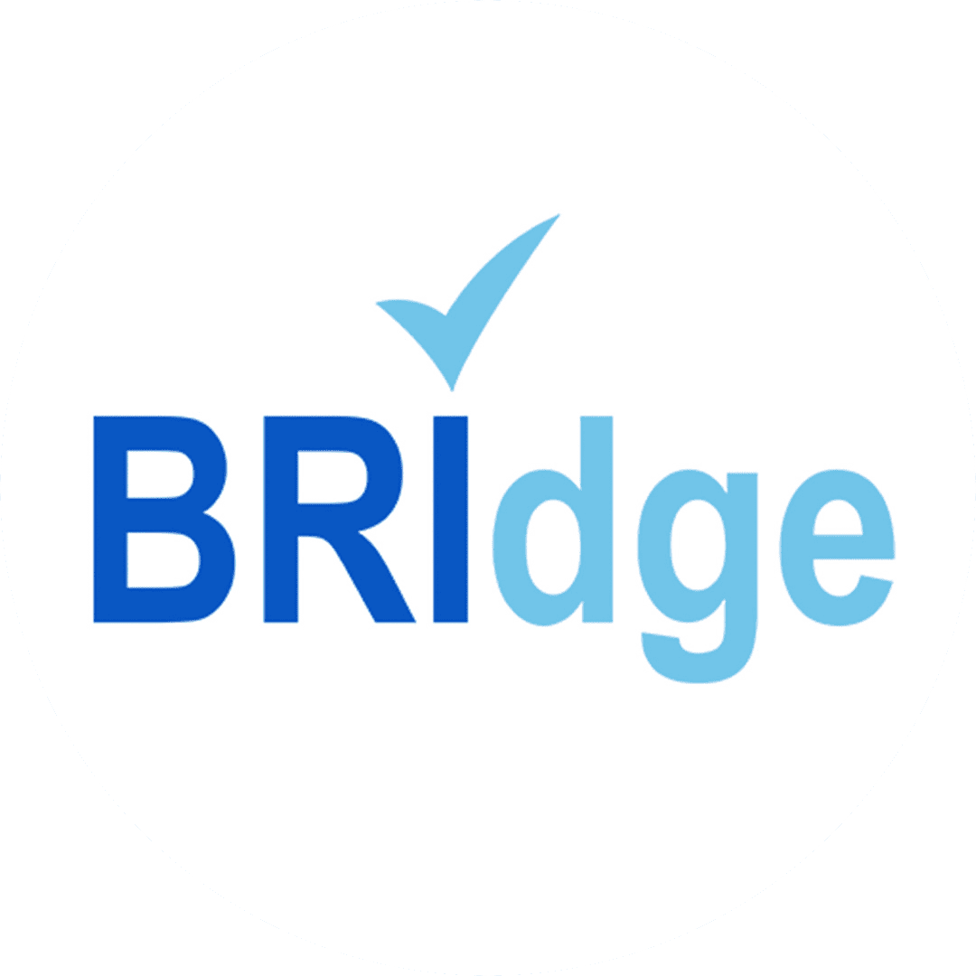 Logo BRIdge